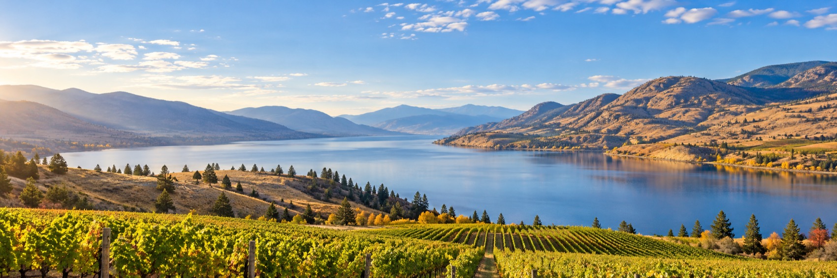 Illustrative Okanagan-inspired landscape with a blue lake, golden hills and vineyards